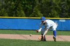 Baseball vs Babson  Wheaton College Baseball vs Babson during Championship game of the NEWMAC Championship hosted by Wheaton. - (Photo by Keith Nordstrom) : Wheaton, baseball, NEWMAC